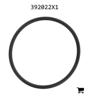 AGCO 392022X1 Уплотнительное кольцо