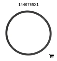 AGCO 1440755X1 Уплотнительное кольцо дифференциала переднего моста