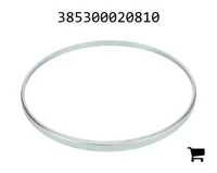 AGCO 385300020810 Панель облицовки