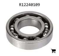 AGCO R12240109 Подшипник