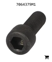 AGCO 7064379M1 Болт с шестигранной головкой