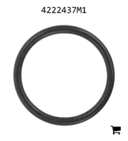 AGCO 4222437M1 Уплотнительное кольцо