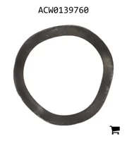 AGCO ACW0139760 Волнистая шайба
