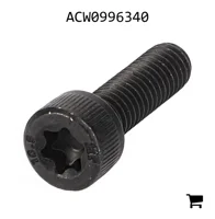 AGCO ACW0996340 Установочный винт с шестигранной головкой