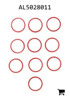 AGCO AL5028011 Комплект колец