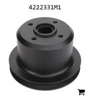 AGCO 4222331M1 Шкив