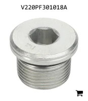 AGCO V220PF301018A Винт-заглушка