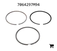 AGCO 7064297M94 Кольцо