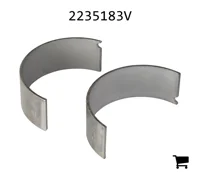 AGCO 2235183V Подшипник шатуна