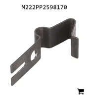 AGCO M222PP2598170 Пружина