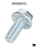 AGCO 3010201X1 Болт с шестигранной головкой и фланцем