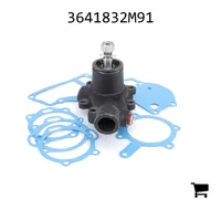 AGCO 3641832M91 Водяной насос