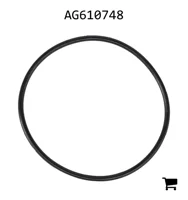 AGCO AG610748 Уплотнительное кольцо