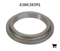 AGCO 4306385M1 Шайба