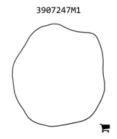 AGCO 3907247M1 Прокладка