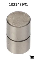 AGCO 1021430M1 Плунжер