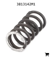 AGCO 3813142M1 Пружина