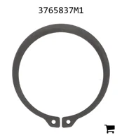 AGCO 3765837M1 Кольцо