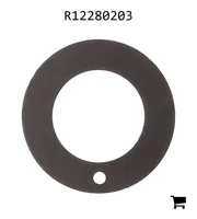 AGCO R12280203 Шайба