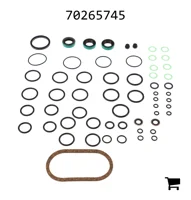AGCO 70265745 Комплект сальников