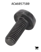 AGCO ACW6057580 Винт с полукруглой головкой