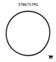 AGCO 3706757M1 Кольцо