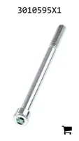 AGCO 3010595X1 Винт с цилиндрической головкой и шестигранным углублением