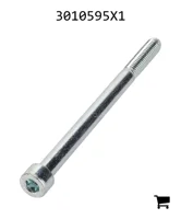 AGCO 3010595X1 Винт с цилиндрической головкой и шестигранным углублением