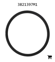 AGCO 3821397M1 Уплотнительное кольцо