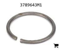 AGCO 3789643M1 Стопорное кольцо