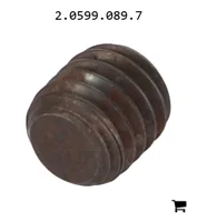 AGCO 2.0599.089.7 Установочный винт