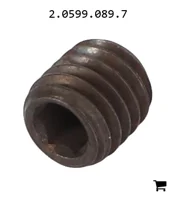 AGCO 2.0599.089.7 Установочный винт