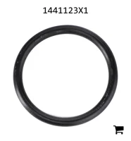 AGCO 1441123X1 Уплотнительное кольцо