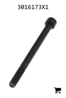 AGCO 3016173X1 Винт с цилиндрической головкой и шестигранным углублением