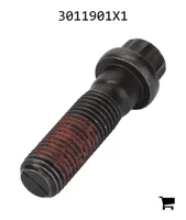 AGCO 3011901X1 Винт с 12-гранной головкой с фланцем