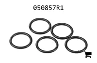 AGCO 050857R1 Ремкомплект