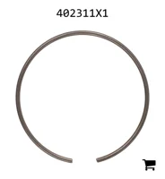 AGCO 402311X1 Кольцо