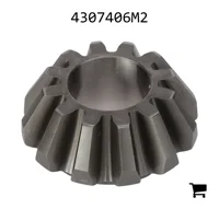 AGCO 4307406M2 Шестерня дифференциала