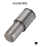 AGCO 4224878M1 Вал