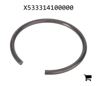 AGCO X533314100000 Стопорная шайба