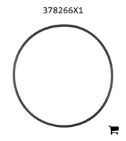 AGCO 378266X1 Уплотнительное кольцо