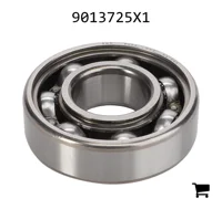 AGCO 9013725X1 Подшипник 6204