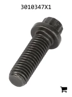 AGCO 3010347X1 Винт с 12-гранной головкой с фланцем