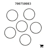 AGCO 700750083 Комплект регулировочных шайб