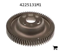 AGCO 4225131M1 Шестеренчатый насос