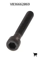 AGCO V836662069 Винт