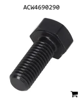 AGCO ACW4690290 Винт