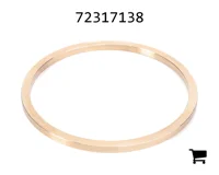 AGCO 72317138 Упорная шайба