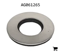 AGCO AG061265 Плоская шайба