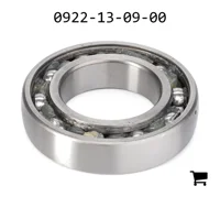 AGCO 0922-13-09-00 Шариковый подшипник